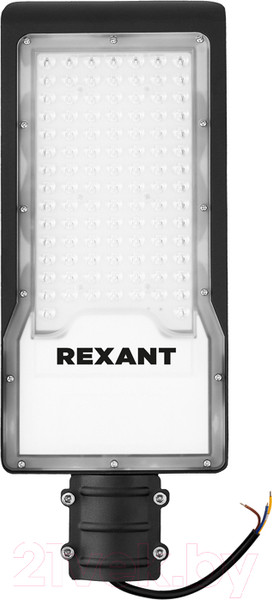 Изображение товара Светильник уличный Rexant ДКУ 02-100-5000К-Ш / 607-303