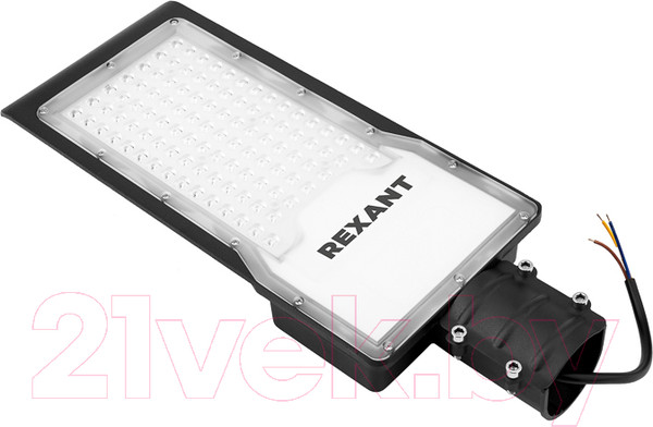 Изображение товара Светильник уличный Rexant ДКУ 02-100-5000К-Ш / 607-303