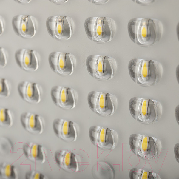 Изображение товара Светильник уличный Rexant ДКУ 02-100-5000К-Ш / 607-303