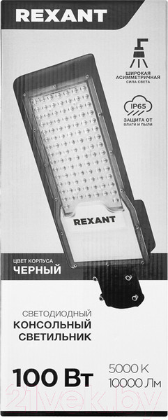 Изображение товара Светильник уличный Rexant ДКУ 02-100-5000К-Ш / 607-303