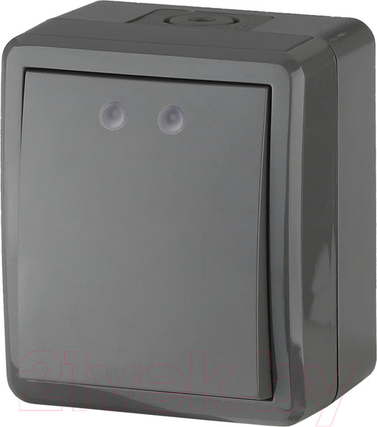 Изображение товара Выключатель ЭРА Эксперт 11-1401-03 / Б0020670 (серый)