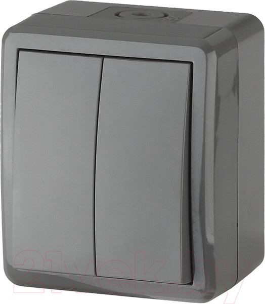 Изображение товара Выключатель ЭРА Эксперт 11-1404-03 / Б0020676 (серый)