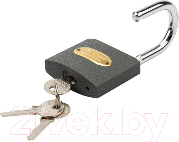 Изображение товара Замок навесной Четыре сезона 79-0006