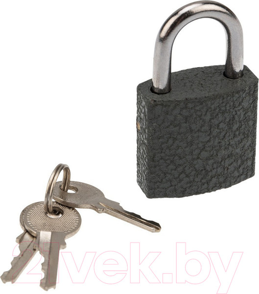 Изображение товара Замок навесной Четыре сезона СЧ-25 / 79-0002