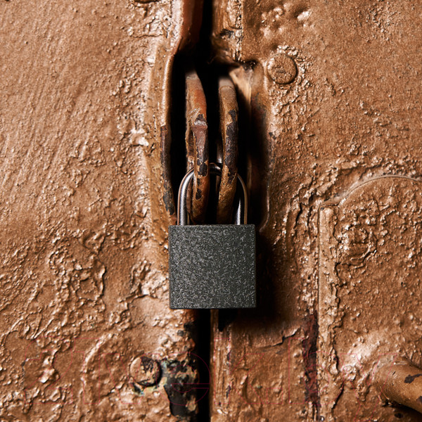 Изображение товара Замок навесной Четыре сезона СЧ-25 / 79-0002