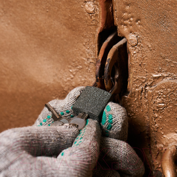 Изображение товара Замок навесной Четыре сезона СЧ-25 / 79-0002