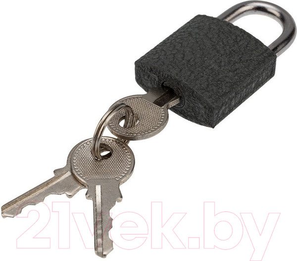 Изображение товара Замок навесной Четыре сезона СЧ-25 / 79-0002