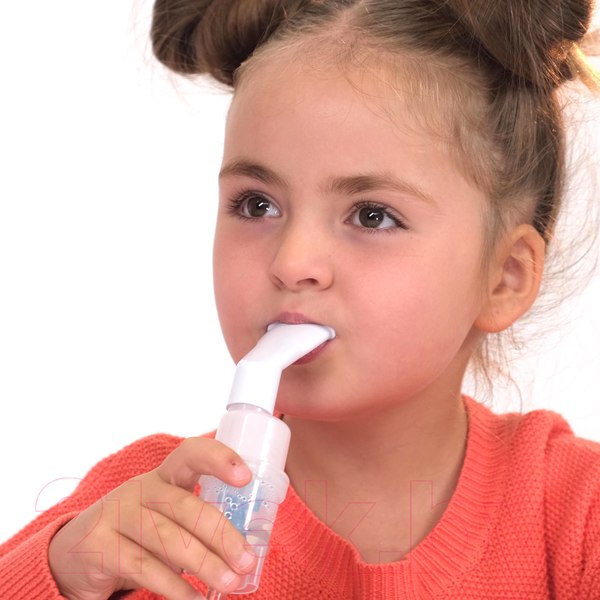 Изображение товара Ингалятор Little Doctor LD-220C