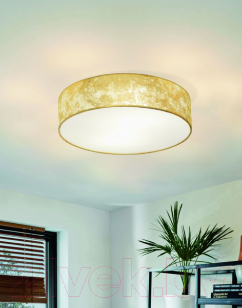 Изображение товара Потолочный светильник Eglo Viserbella 97641