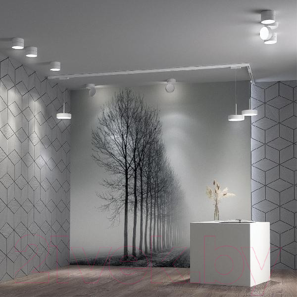 Изображение товара Спот Novotech Prometa 358749 (белый)