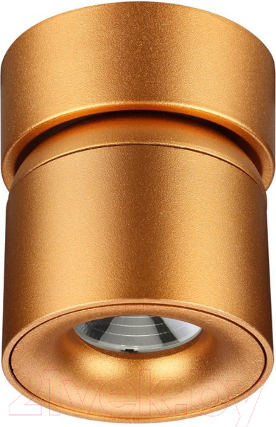 Изображение товара Спот Novotech Gesso 358810 (матовое золото)