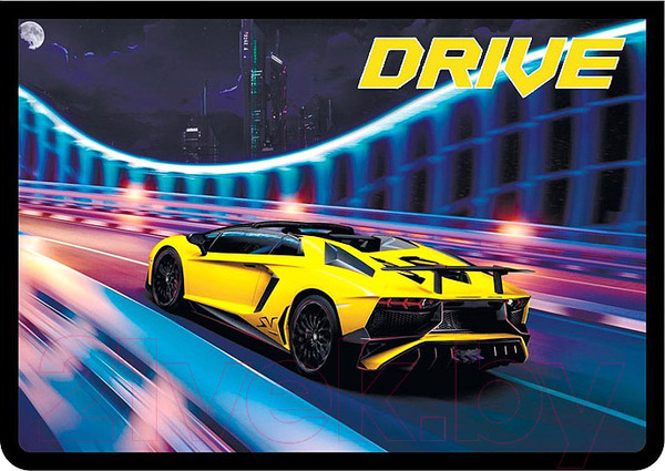 Изображение товара Папка для тетрадей Пчелка Авто в ночи / ПМ-А4-29