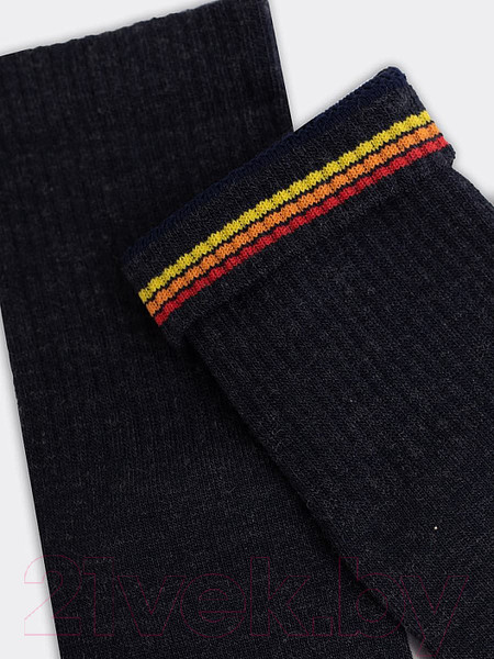 Изображение товара Носки детские Mark Formelle Термо 513T-1891 (р.16, темно-синий меланж)