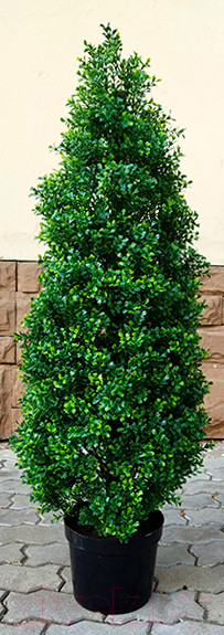 Изображение товара Искусственное растение ForGarden Дерево Boxwood Tower / FGN BF01706
