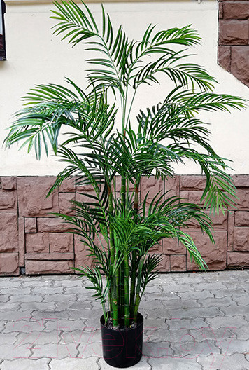 Изображение товара Искусственное растение ForGarden Дерево Areca Palm / FGN BF01709