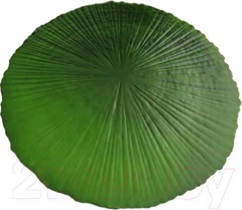 Изображение товара Плейсмат MONAMI TL2-308