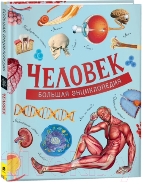 Изображение товара Энциклопедия Росмэн Человек. Большая энциклопедия