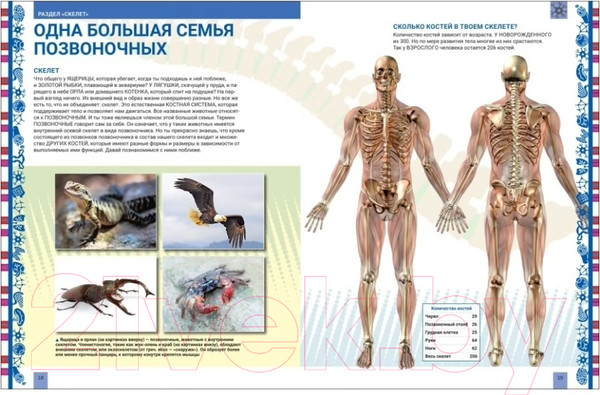 Изображение товара Энциклопедия Росмэн Человек. Большая энциклопедия