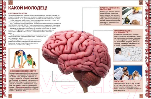 Изображение товара Энциклопедия Росмэн Человек. Большая энциклопедия