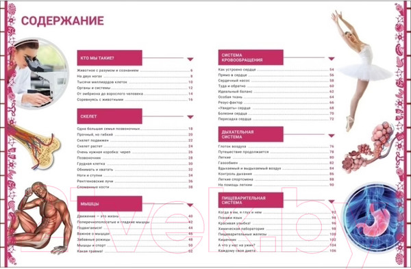 Изображение товара Энциклопедия Росмэн Человек. Большая энциклопедия