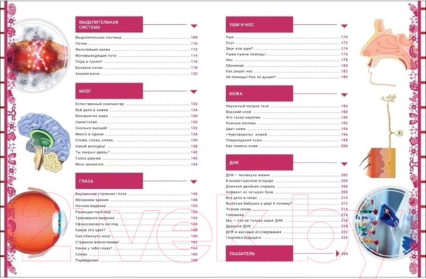 Изображение товара Энциклопедия Росмэн Человек. Большая энциклопедия