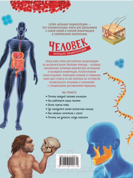 Изображение товара Энциклопедия Росмэн Человек. Большая энциклопедия