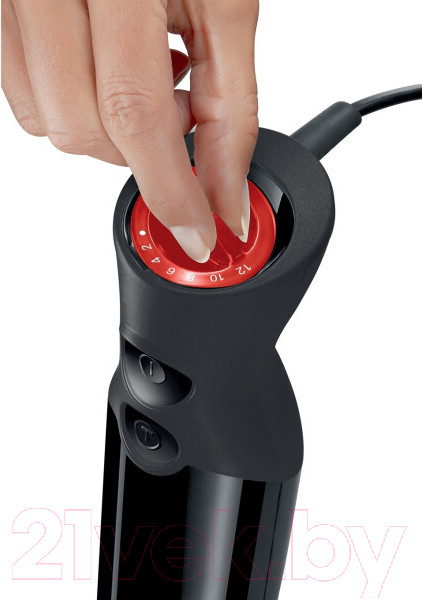 Изображение товара Блендер погружной Bosch MS61B6150