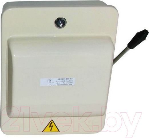 Изображение товара Ящик силовой Электрофидер ЯБПВУ/100А (IP54)