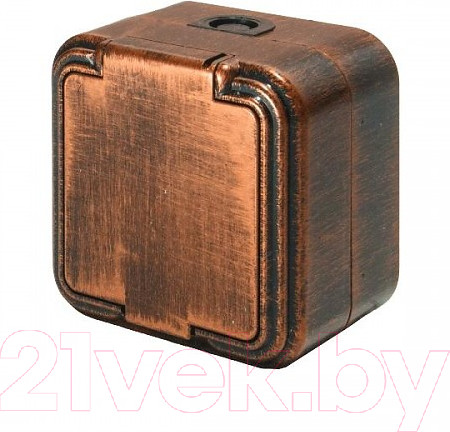 Изображение товара Розетка Элект RA16-211-ЧМ