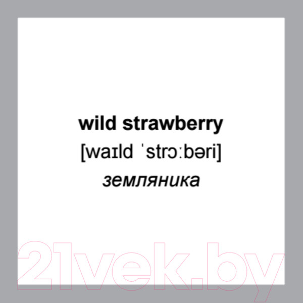 Изображение товара Развивающие карточки Питер 500 самых нужных английских слов и фраз (без русской транскрипции)