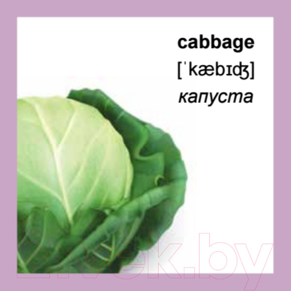 Изображение товара Развивающие карточки Питер 500 самых нужных английских слов и фраз (без русской транскрипции)