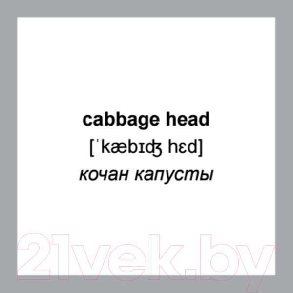 Изображение товара Развивающие карточки Питер 500 самых нужных английских слов и фраз (без русской транскрипции)