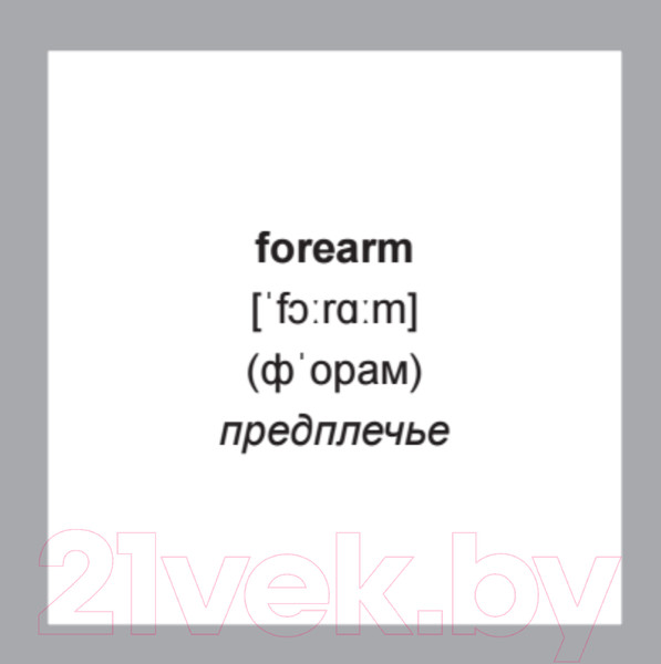 Изображение товара Развивающие карточки Питер 500 самых нужных английских слов и фраз (с русской транскрипцией)