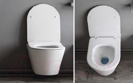 Изображение товара Унитаз подвесной Lucco Avva Rim ART 100314-101 (с крышкой)