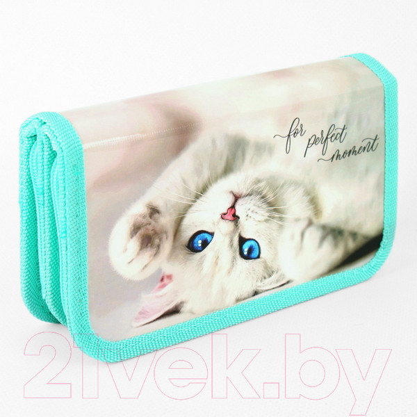 Изображение товара Пенал Пчелка Голубоглазая кошечка / ПО-09