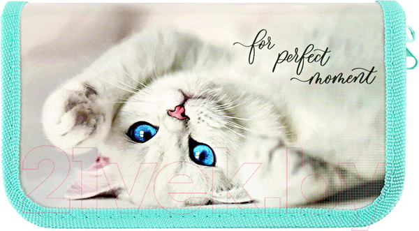 Изображение товара Пенал Пчелка Голубоглазая кошечка / ПО-09