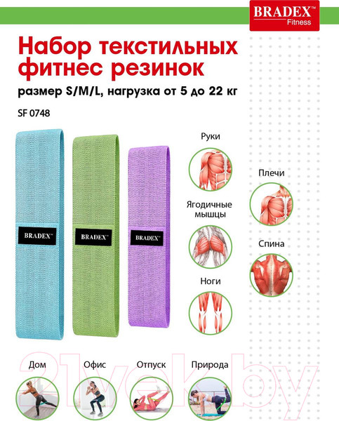 Изображение товара Набор эспандеров Bradex SF 0748 (S)