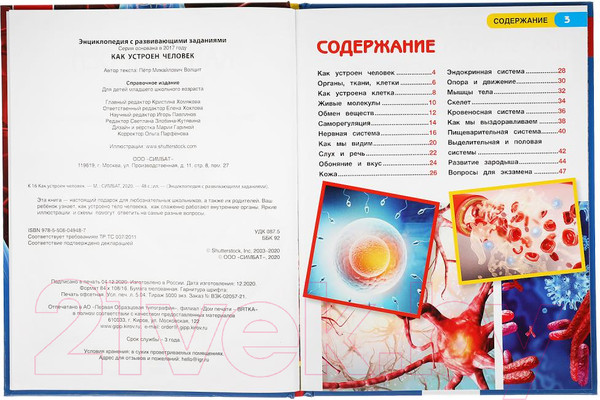 Изображение товара Энциклопедия Умка Как устроен человек с развивающими заданиями