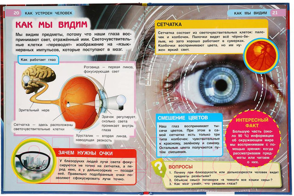 Изображение товара Энциклопедия Умка Как устроен человек с развивающими заданиями
