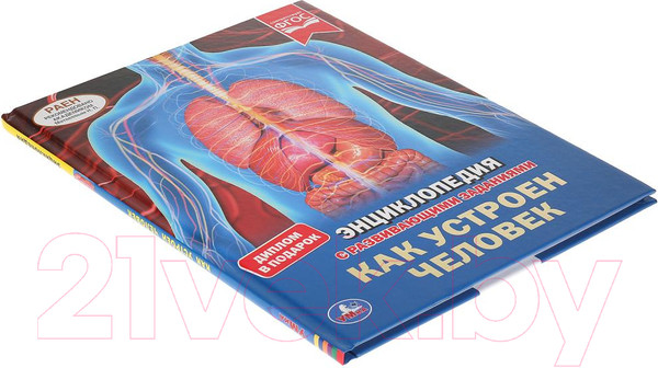 Изображение товара Энциклопедия Умка Как устроен человек с развивающими заданиями