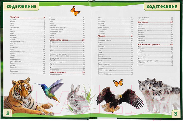 Изображение товара Энциклопедия Умка Животные. 100 фактов с развивающими заданиями