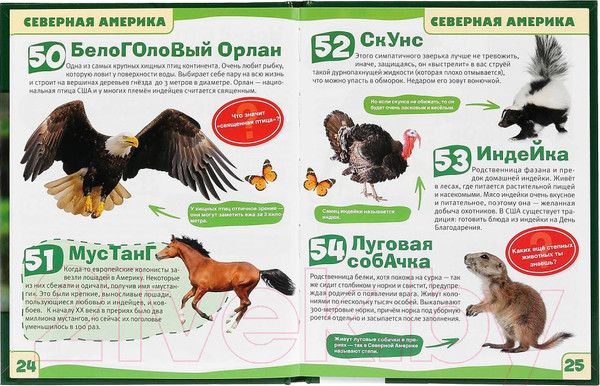 Изображение товара Энциклопедия Умка Животные. 100 фактов с развивающими заданиями