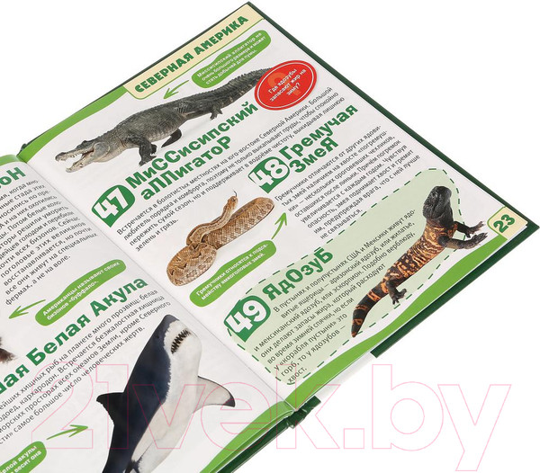 Изображение товара Энциклопедия Умка Животные. 100 фактов с развивающими заданиями