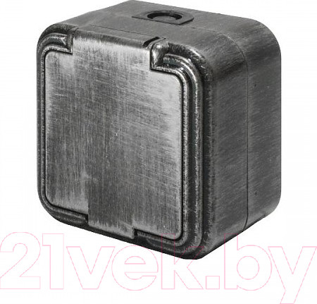 Изображение товара Розетка Элект RA16-211-ЧС