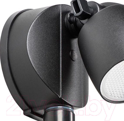 Изображение товара Бра уличное Lightstar Diva 374347