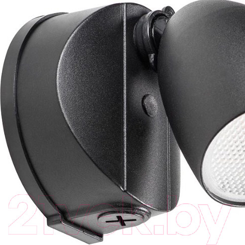 Изображение товара Бра уличное Lightstar Diva 374147