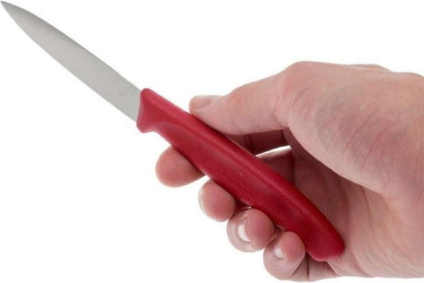 Изображение товара Нож Victorinox Swiss Classic 6.7401