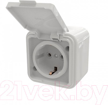 Изображение товара Розетка Элект RA16-211-Б