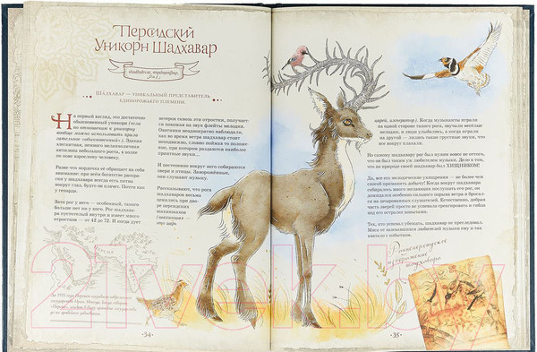 Изображение товара Книга Питер Великая книга Единорогов (Макмиллан У.Х.)