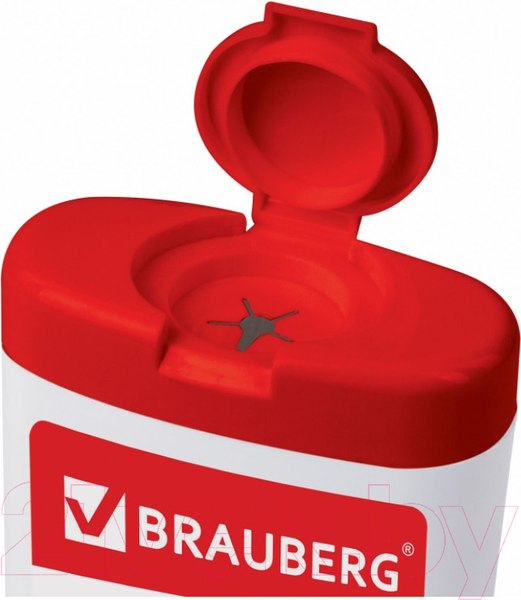Изображение товара Салфетки для ухода за техникой Brauberg 512810 (100шт)